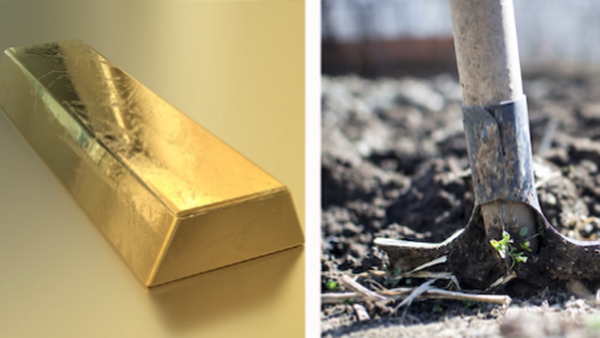 Australisk-man-hittar-guldklimp-vard-1 miljon-kronor